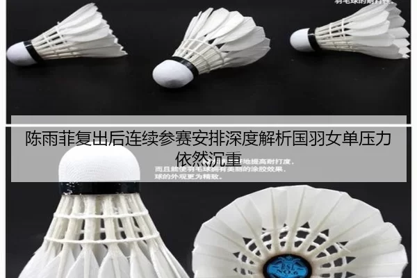 陈雨菲复出后连续参赛安排深度解析国羽女单压力依然沉重